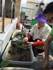 のなか菜園